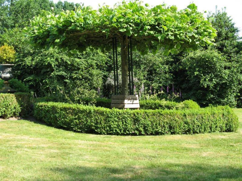 Erfgoedlogies Bed And Breakfast 'T Olde Hof Westervelde Buitenkant foto